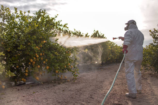  Somerset, PA Pest Control Pros