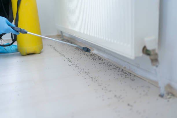 Somerset, PA Pest Control Company