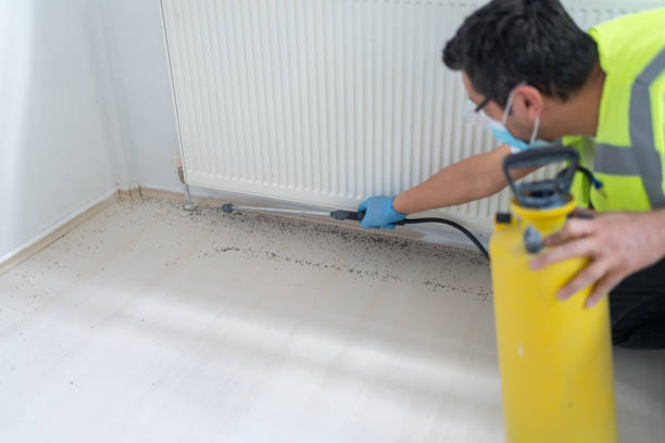Best Bed Bug Extermination  in Somerset, PA